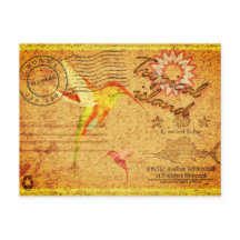 Vintage Postkarte der Tropeninsel Kolibris