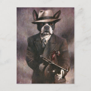 Vintage Postkarte des Gangster Boston Terrier aus