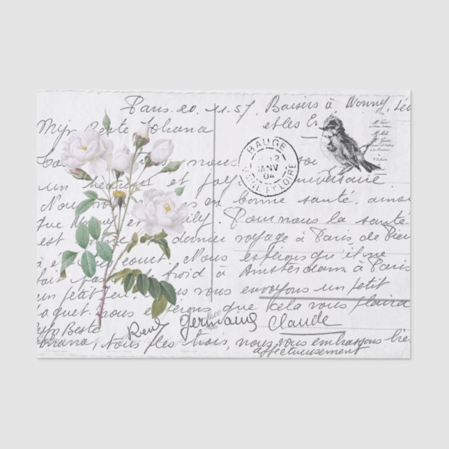 Vintage Postkarte für den White Rose Bird Seidenpapier (Vorderseite)