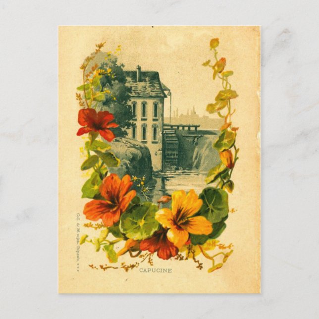 Vintage Postkarte landschaftlich/nasturtium (Vorderseite)