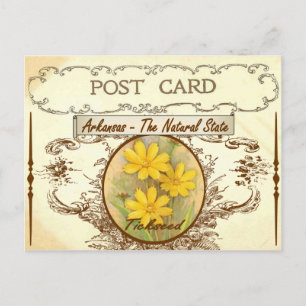 Vintage-Postkarte mit der Staatsblume von Arkansas Postkarte