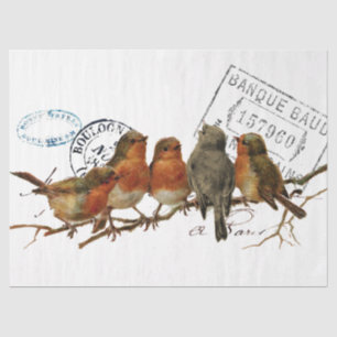 Vintage Postkarte mit Europäischen Rotkehlchen Seidenpapier