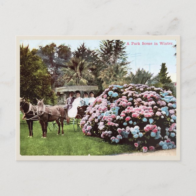 Vintage Postkarte San Diego, Viktorianische Ära (Vorderseite)