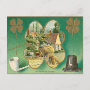 Vintage Postkarte St. Patrick's Day