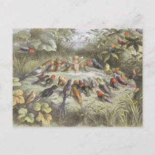 Vintage Probe in Feenland Postkarte