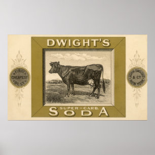 Vintage-Produktetikett, Dwight's Bicarbonated Soda Poster
