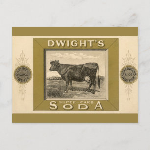 Vintage-Produktetikett, Dwight's Bicarbonated Soda Postkarte