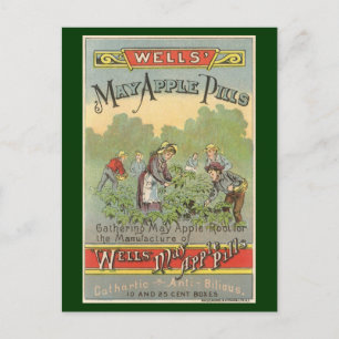 Vintage-Produktlabel-Kunst, Wells May Apple Pills Postkarte