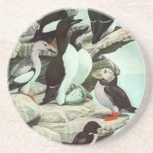 Vintage Puffins und Wasservögel von Louis Fuertes Untersetzer