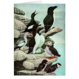 Vintage Puffins und Wasservögel von Louis Futes