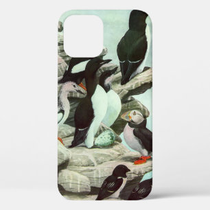 Vintage Puffins und Wasservögel von Louis Futes Case-Mate iPhone Hülle