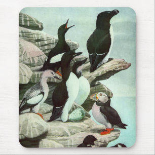 Vintage Puffins und Wasservögel von Louis Futes Mousepad