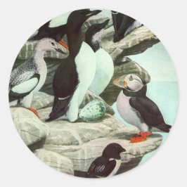 Vintage Puffins und Wasservögel von Louis Futes Runder Aufkleber