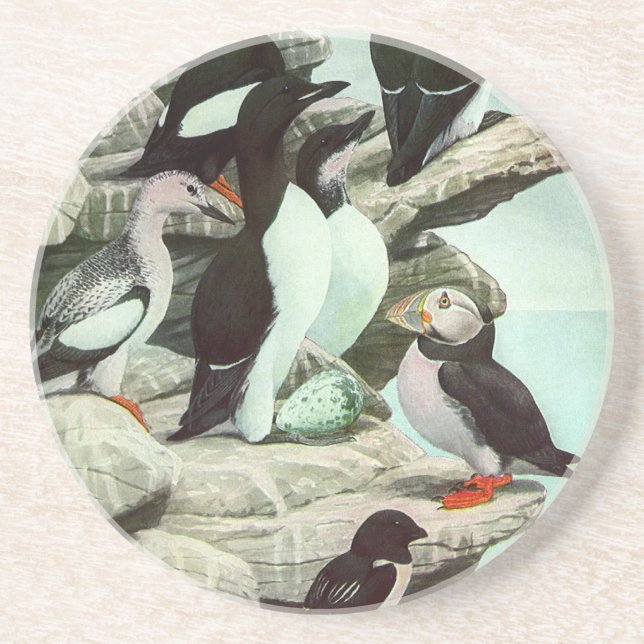 Vintage Puffins und Wasservögel von Louis Futes Untersetzer (Vorne)