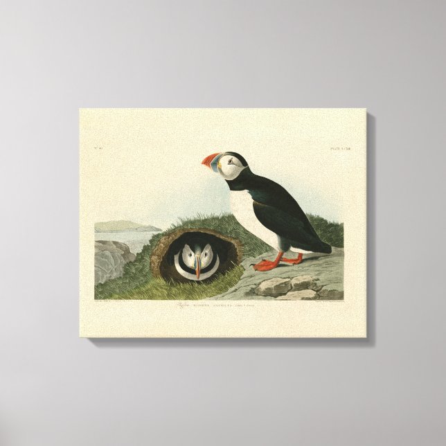 Vintage PuffsIllustration Leinwanddruck (Vorderseite)