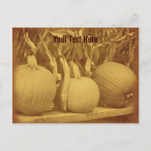 Vintage Pumpkins Cornstalks - individuell anpassba Postkarte