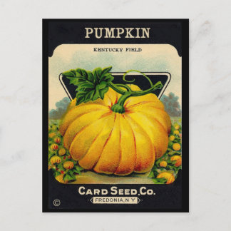 Vintage Pumplin Seed Ad Postkarte