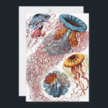 Vintage Qualle von Ernst Haeckel, Discomedusae Einladung<br><div class="desc">Einfach zu personalisieren, klicken Sie einfach auf die Schaltfläche "Anpassen" und verwenden Sie die Designtools, um eine einzigartige Einladung oder Ankündigung zu erstellen. Vintage Illustration der Meeresbiologie von Ernst Haeckel. Eine Vielfalt von bunten Quallen, die im Meer schwimmen. Gelee Fische sind frei schwimmende Wassertiere mit einem Schirm geformt Körper und...</div>