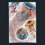 Vintage Qualle von Ernst Haeckel, Discomedusae Geschirrtuch<br><div class="desc">Vintage Illustration der Meeresbiologie von Ernst Haeckel. Eine Vielfalt von bunten Quallen,  die im Meer schwimmen. Gelee Fische sind frei schwimmende Wassertiere mit einem Schirm geformt Körper und langen Tentakeln. Sie finden sich in allen Ozeanen und in einigen Süßwasserseen und Flüssen.</div>
