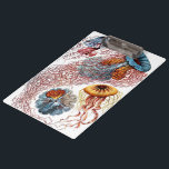 Vintage Qualle von Ernst Haeckel, Discomedusae Klemmbrett<br><div class="desc">Vintage Illustration der Meeresbiologie von Ernst Haeckel. Eine Vielfalt von bunten Quallen,  die im Meer schwimmen. Gelee Fische sind frei schwimmende Wassertiere mit einem Schirm geformt Körper und langen Tentakeln. Sie finden sich in allen Ozeanen und in einigen Süßwasserseen und Flüssen.</div>
