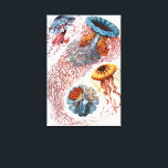 Vintage Qualle von Ernst Haeckel, Discomedusae Leinwanddruck<br><div class="desc">Vintage Illustration der Meeresbiologie von Ernst Haeckel. Eine Vielfalt von bunten Quallen,  die im Meer schwimmen. Gelee Fische sind frei schwimmende Wassertiere mit einem Schirm geformt Körper und langen Tentakeln. Sie finden sich in allen Ozeanen und in einigen Süßwasserseen und Flüssen.</div>