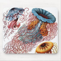 Vintage Qualle von Ernst Haeckel, Discomedusae