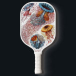 Vintage Qualle von Ernst Haeckel, Discomedusae Pickleball Schläger<br><div class="desc">Vintage Illustration der Meeresbiologie von Ernst Haeckel. Eine Vielfalt von bunten Quallen,  die im Meer schwimmen. Gelee Fische sind frei schwimmende Wassertiere mit einem Schirm geformt Körper und langen Tentakeln. Sie finden sich in allen Ozeanen und in einigen Süßwasserseen und Flüssen.</div>