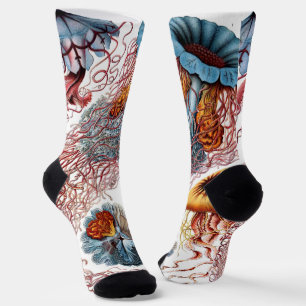 Vintage Qualle von Ernst Haeckel, Discomedusae Socken