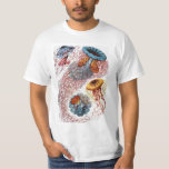 Vintage Qualle von Ernst Haeckel, Discomedusae T-Shirt<br><div class="desc">Vintage Illustration der Meeresbiologie von Ernst Haeckel. Eine Vielfalt von bunten Quallen,  die im Meer schwimmen. Gelee Fische sind frei schwimmende Wassertiere mit einem Schirm geformt Körper und langen Tentakeln. Sie finden sich in allen Ozeanen und in einigen Süßwasserseen und Flüssen.</div>