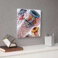 Vintage Quallen von Ernst Haeckel, Discomedusae