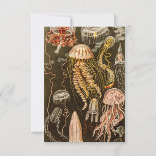 Vintage Quallenfisch-Jelly-Fisch-Illustration RSVP Karte