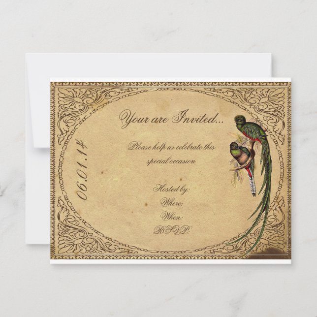 Vintage Quetzal Bird Elegante Party Einladung (Vorderseite)