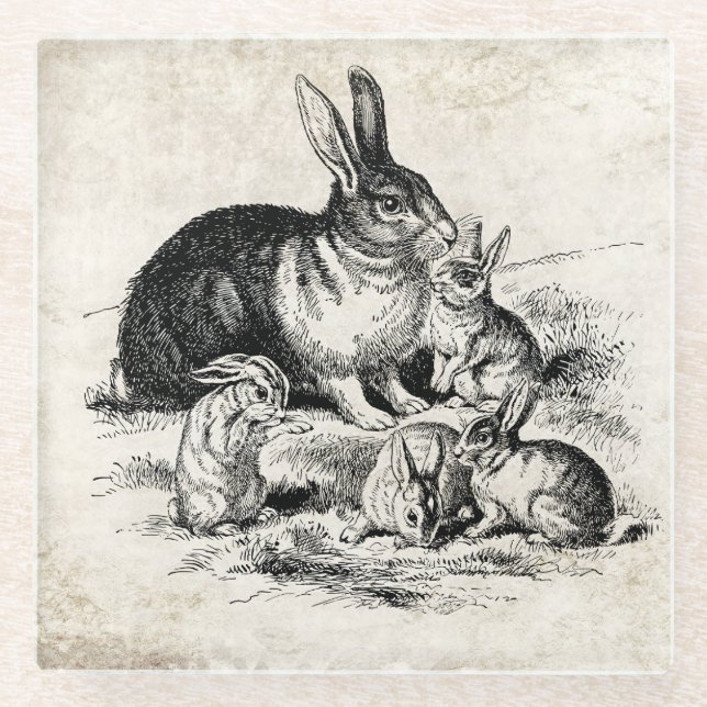 Vintage Rabbit-Familiendarstellung, Baby Bunnies Glasuntersetzer (Vorderseite)