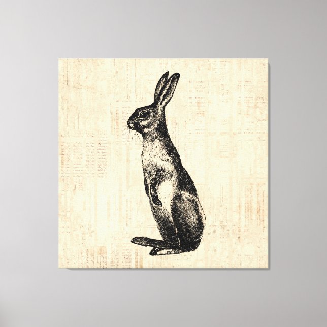 Vintage Rabbit Illustration Alt-modischer Bunny Leinwanddruck (Vorderseite)