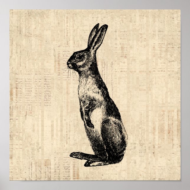 Vintage Rabbit Illustration Alt-modischer Bunny Poster (Vorne)