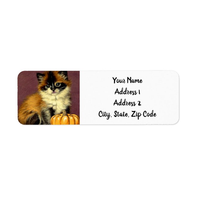 Vintage Ragdoll Halloween-Katze (Vorne)