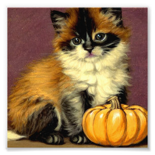 Vintage Ragdoll Halloween-Katze Fotodruck