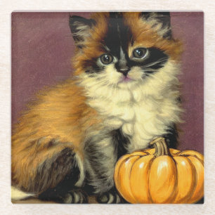 Vintage-Ragdoll-Halloween-Katze Glasuntersetzer