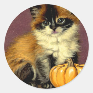 Vintage Ragdoll Halloween-Katze Runder Aufkleber