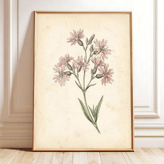 Vintage-Ragweed-Robin-Blumen-Wandkunst Poster