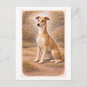 Vintage-Rauhound Postkarte