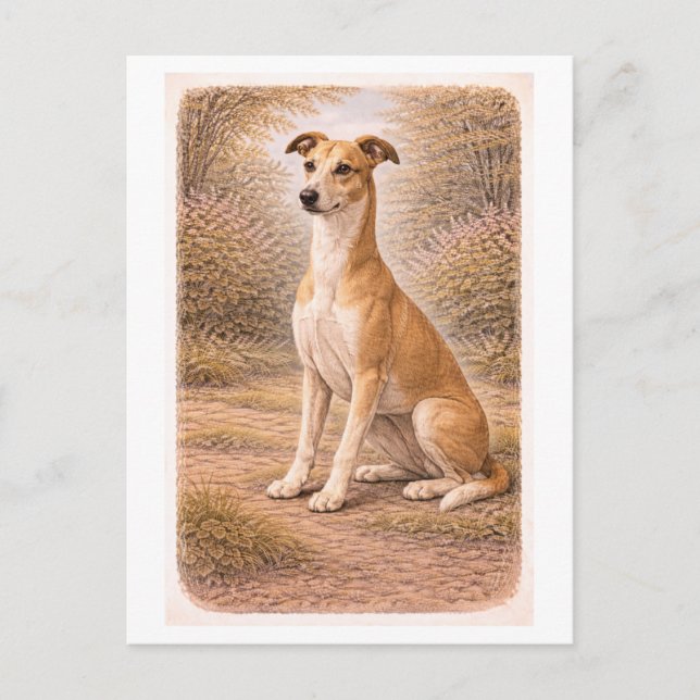Vintage-Rauhound Postkarte (Vorderseite)