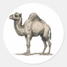 Vintage Realistic Camel Illustration-Desert Camel Runder Aufkleber