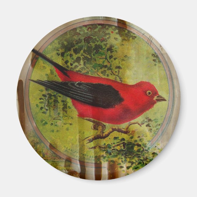 Vintage Red Bird Magnet (Vorne)