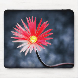 Vintage Red Daisy-Blume Mousepad
