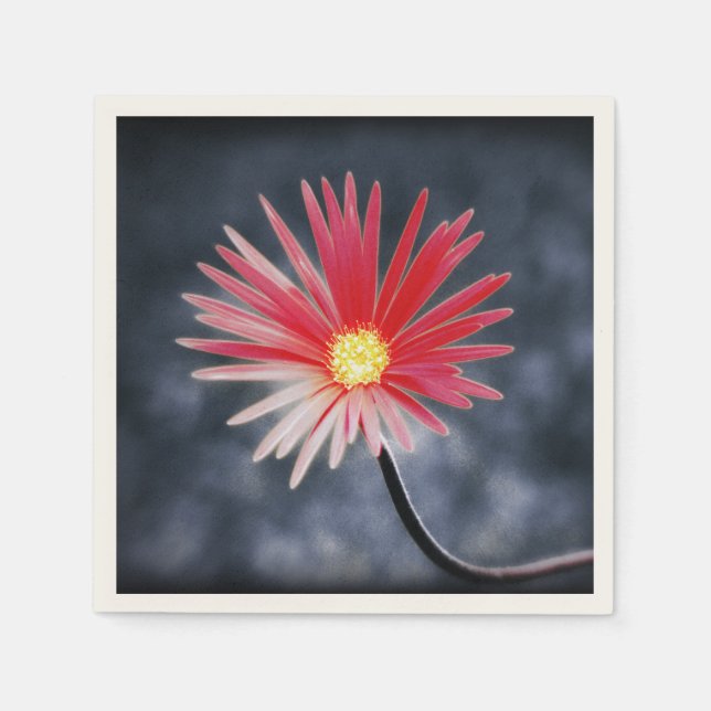 Vintage Red Daisy-Blume Serviette (Vorderseite)