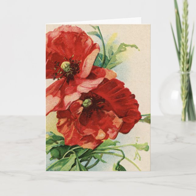 Vintage Red Poppe Blume Card Karte (Vorderseite)