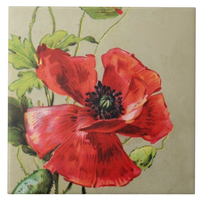 VINTAGE RED POPPY-BLUME FLIESE (Vorderseite)