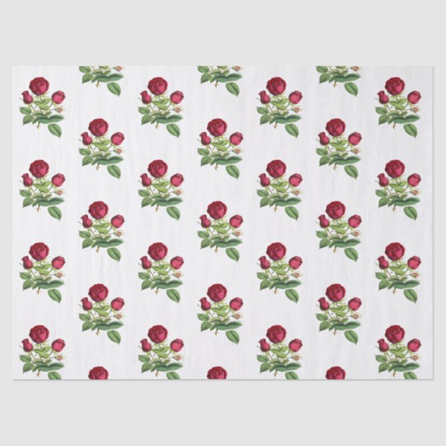 Vintage Red Tee Rose Blume Seidenpapier (Vorderseite)
