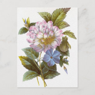 Vintage-Redoute-Blumenstrauß-Postkarte Postkarte